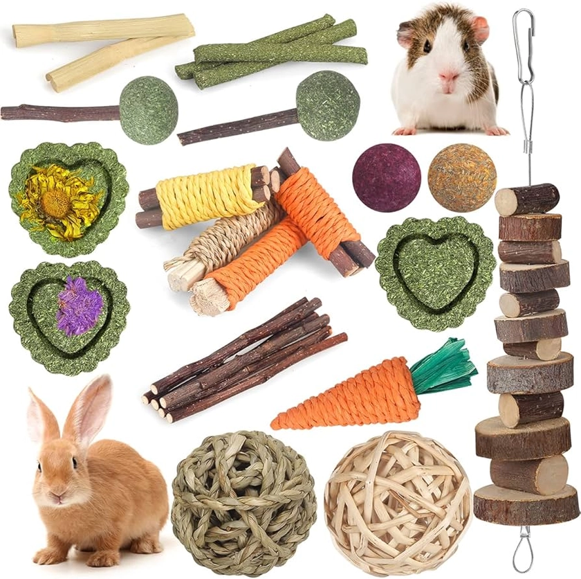 YIXUND Rabbit Toys Guinea Pig Toys Hamster Toys Bunny Toys 18Pcs Natural Timothy Hay Sticks Apple Wood Sticks Chinchilla Toys for Teeth Care Handmade : Amazon.co.uk: Pet Supplies