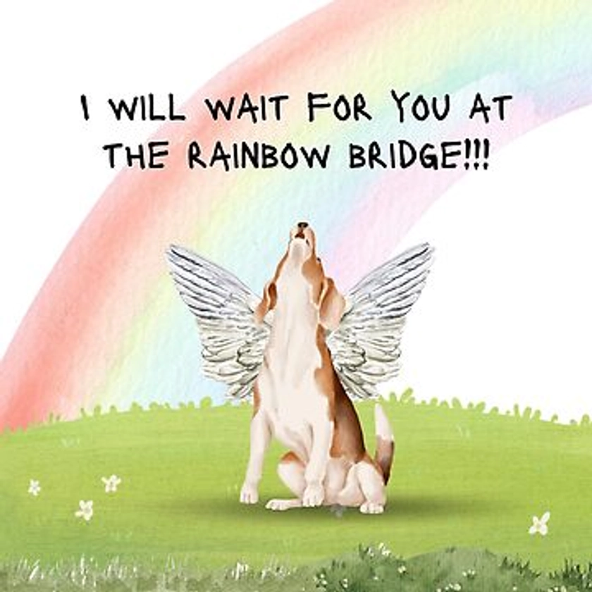 "I will wait for you at the rainbow bridge!!!" Magnet for Sale by DeRainbowBridge