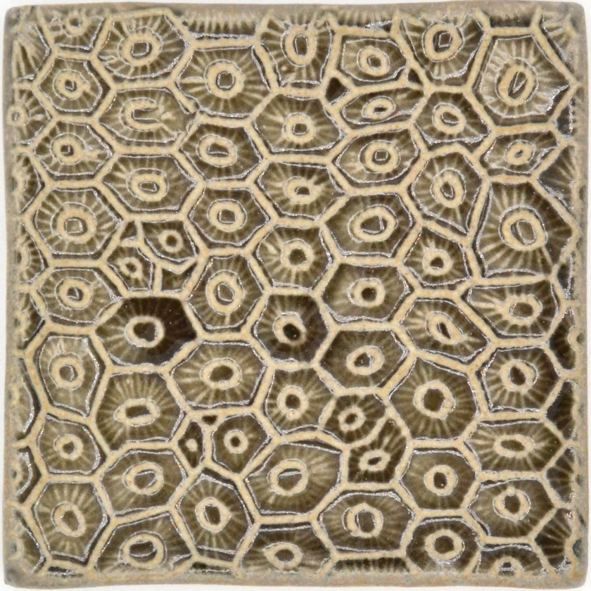 4x4 Petoskey Stone Tile