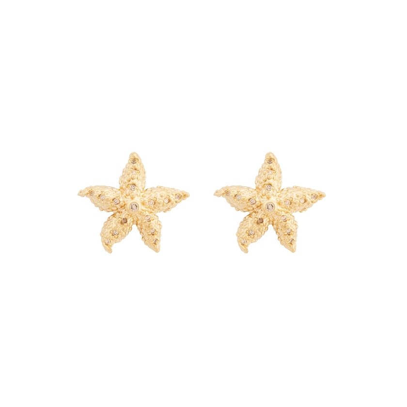 Engraved Starfish Earrings (M)