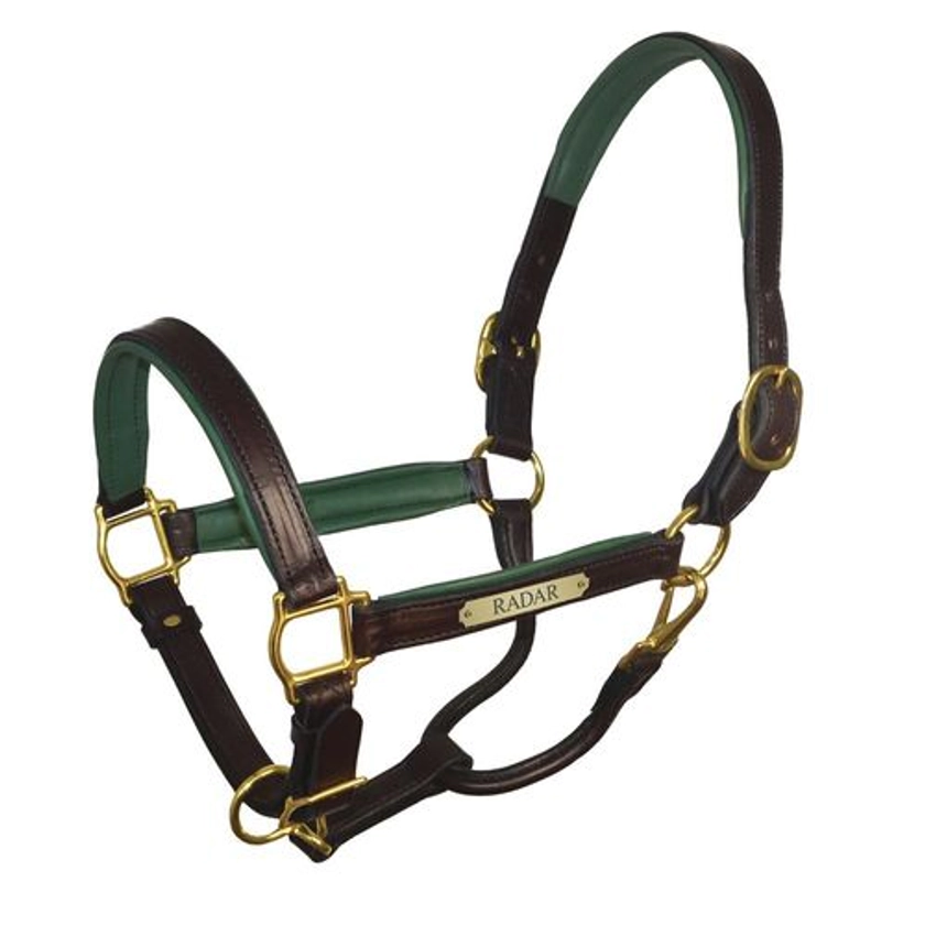 Perri’s® 1" Padded Leather Halter with Nameplate | Dover Saddlery
