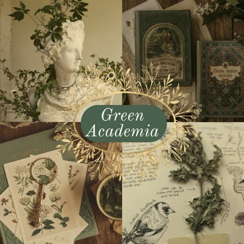 Green Academia Mystery Gift Box