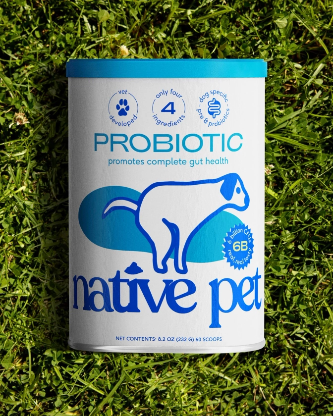 Probiotics for Dogs - Support Your Dog's Gut Health - Native Pet