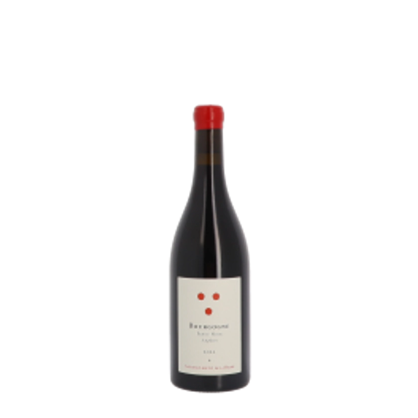 Antoine Lepetit de la Bigne, Pinot Noir Amphore 2022 Rouge