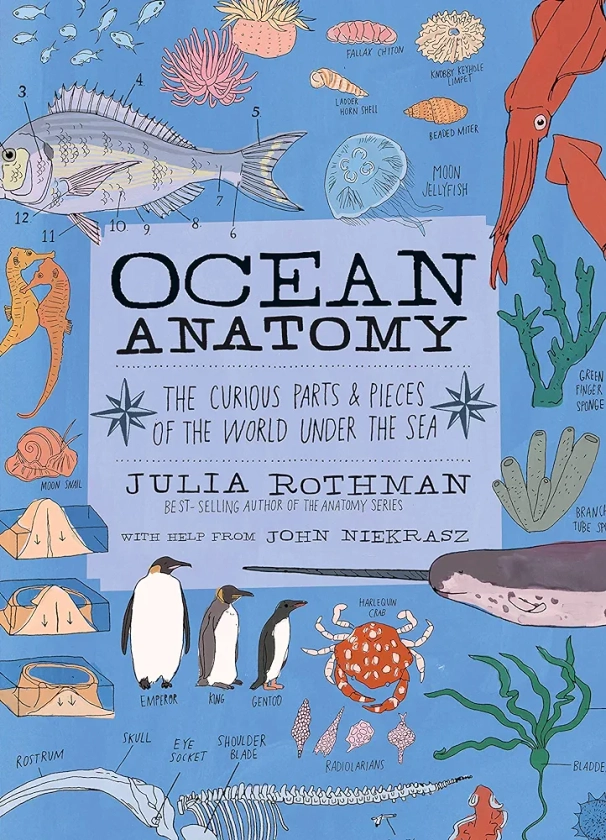 Ocean Anatomy: The Curious Parts & Pieces of the World under the Sea