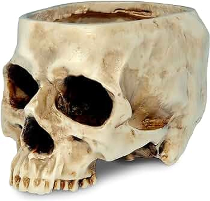 READAEER Skull Planter Resin Skull Shaped Flower Pot for Home Office Desk Decorations(Planter)