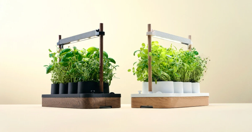 Auk | Award-winning indoor smart gardens from Scandinavia