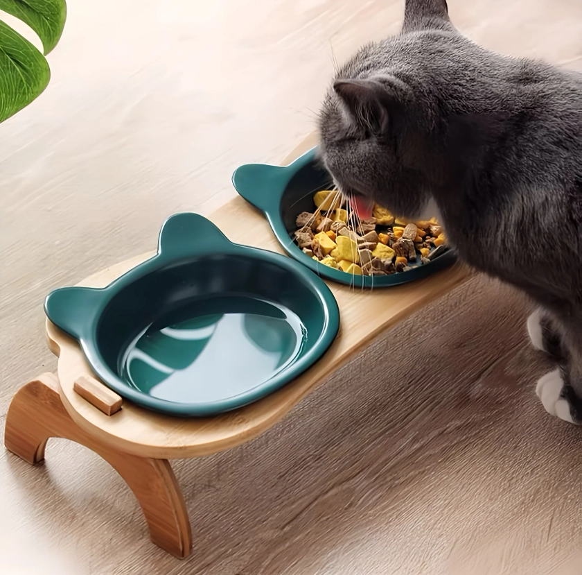 Cat Feeding Bowl