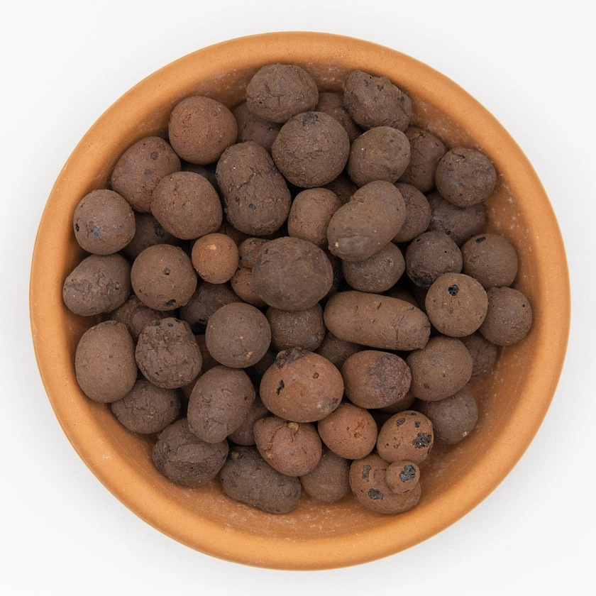 Hydroton / LECA / Clay Balls