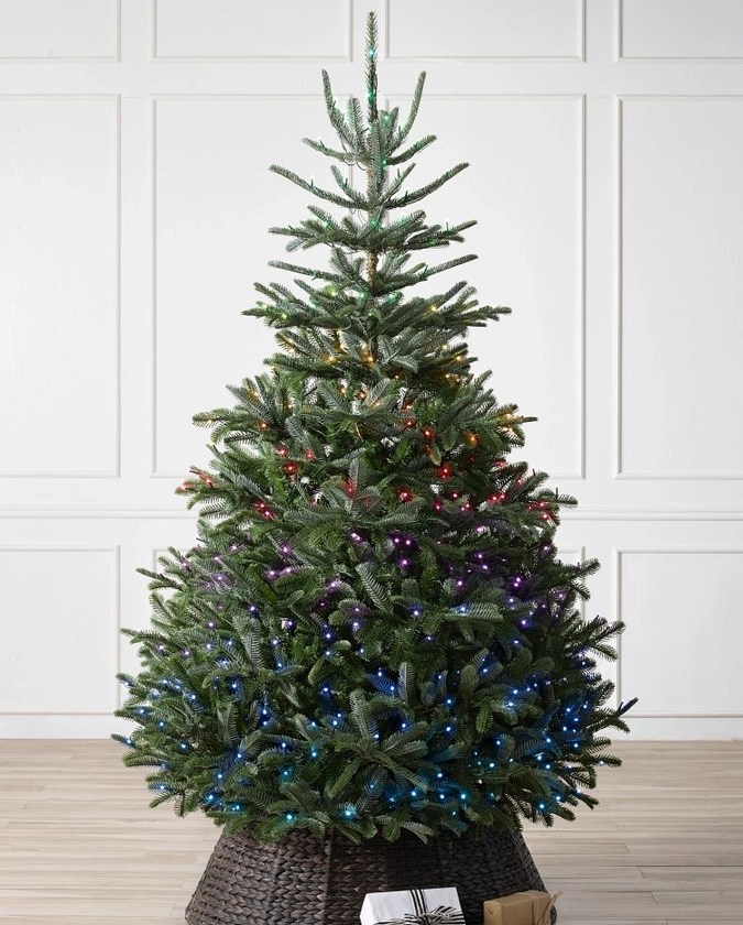 Sapins de Nordmann artificiel | Balsam Hill