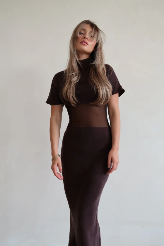 The Brown Silva Dress