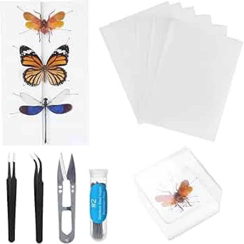 Making Insect Specimen Tools Kit, Insect Pins,Insect Pinning Board, Wings Pressing Paper,Tweezers, Scissors, Insect Display Case, Insect Collection for Bug Hobbyist/Biology Projects