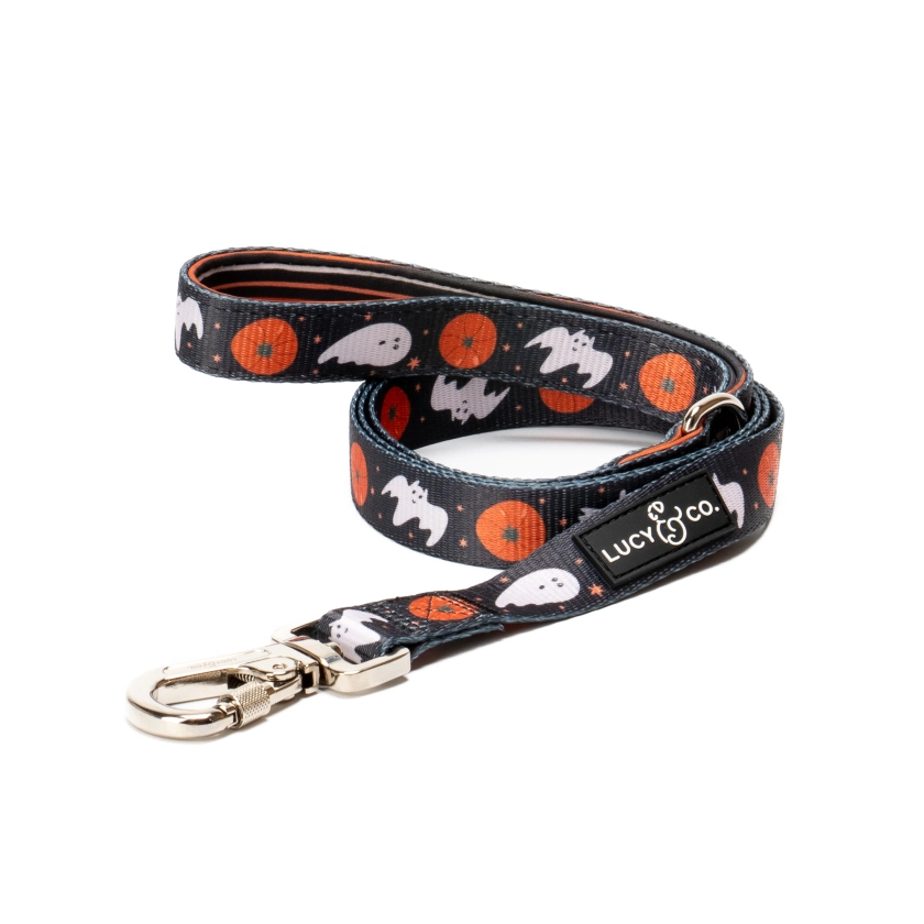 The Happy Haunting Halloween Dog Leash | Lucy & Co.