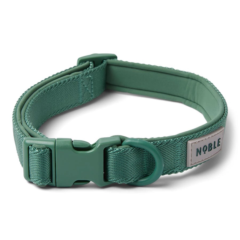 Noble Durable Dog Collar Green | Pets