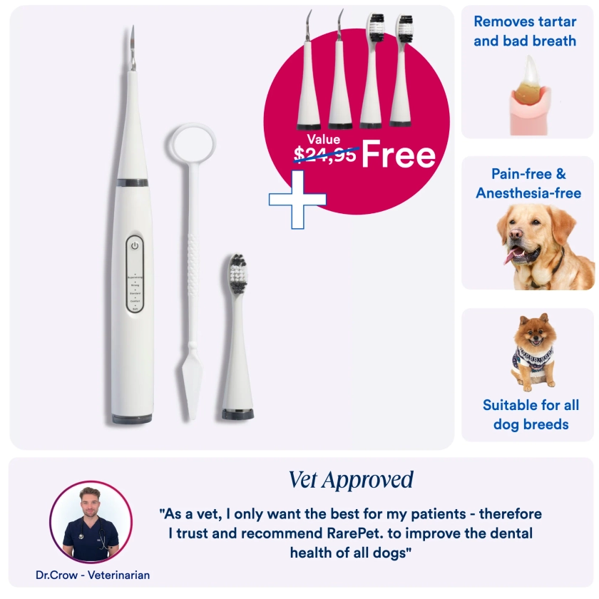 CaniLab - Dental Scaler for dogs