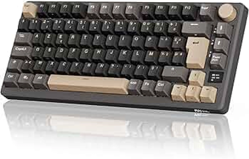 RK ROYAL KLUDGE M75 Clavier Mécanique sans Fil, Azerty BT5.0/2.4G/USB-C Compact 75% Clavier Gamer Mécanique avec écran Intelligent OLED et Bouton Rétroéclairage RVB, Interrupteur Rouge, Grey