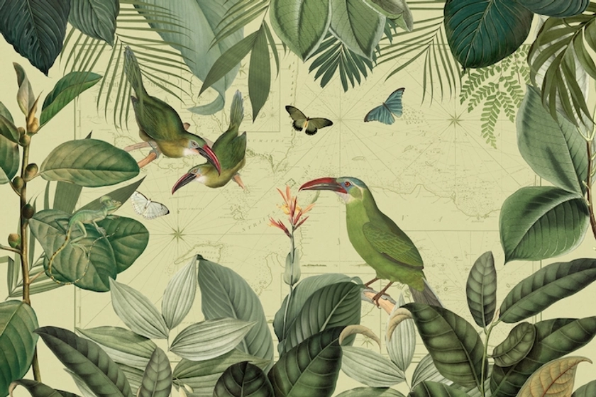 Vintage Bird Enchantment Tropical Jungle papiers peint - Jungle tropicale d'enchantement d'oiseaux vintage papiers peint - Happywall