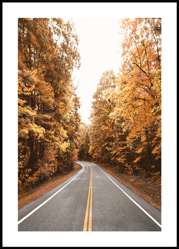 Route Automne Poster