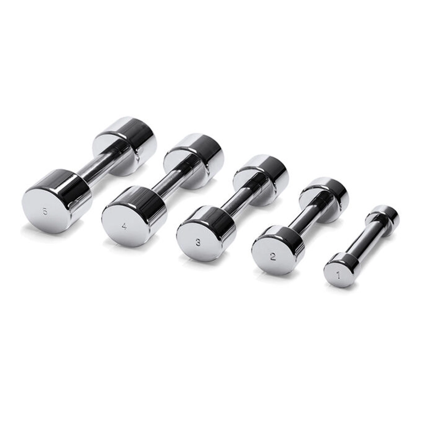 Haltères Technogym Chrome: kit de dumbbells chromées | Technogym France