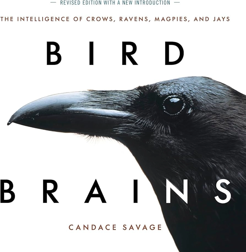 Bird Brains: The Intelligence of Crows, Ravens, Magpies, and Jays