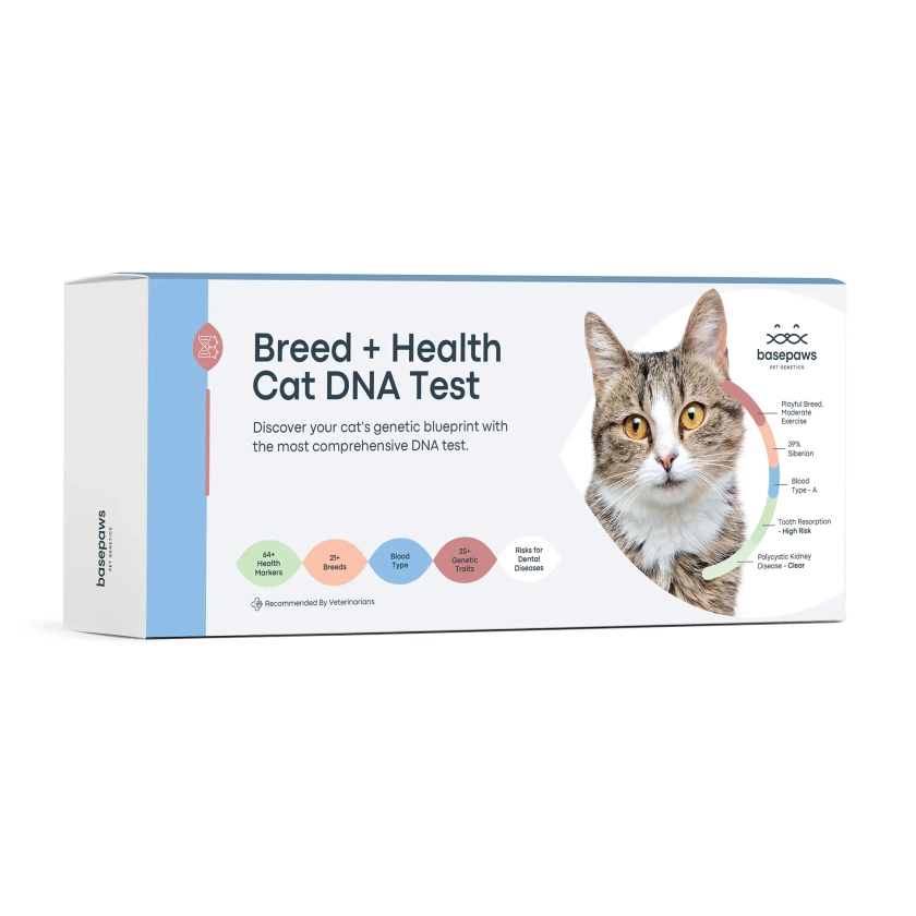 Basepaws Cat DNA Test | Breed, Health, Dental Diseases and Traits Reports