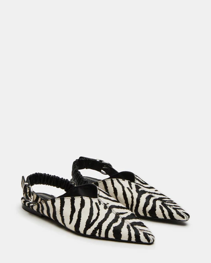 ZELLA Zebra Pointed Toe Slingback | Women's Flats – Steve Madden