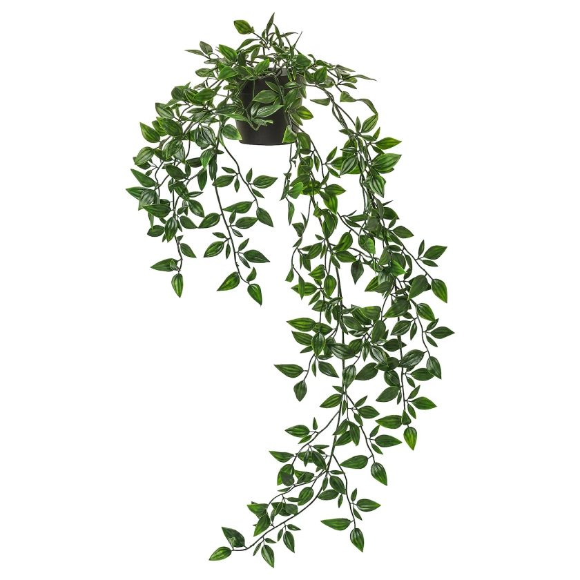 FEJKA plante artificielle en pot, intérieur/extérieur/à accrocher, 9 cm - IKEA