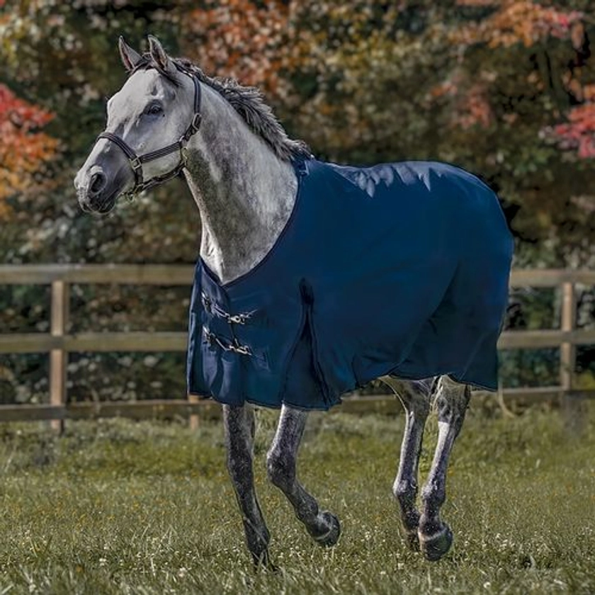 Rider’s International™ Medium-Weight Turnout Blanket | Dover Saddlery