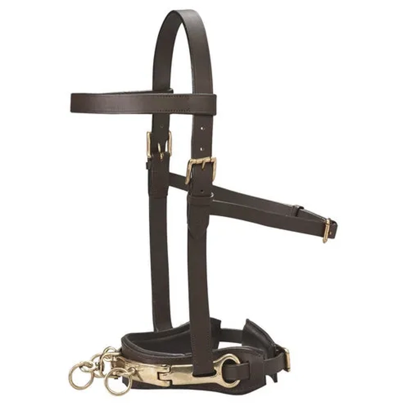 DS Leather Lunge Caveson | Dover Saddlery