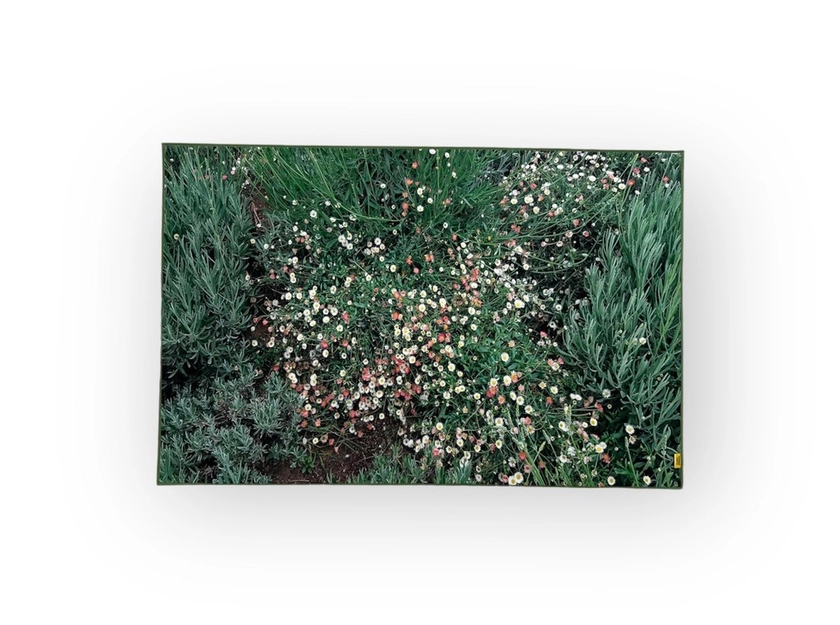 Flower garden, landscape rug