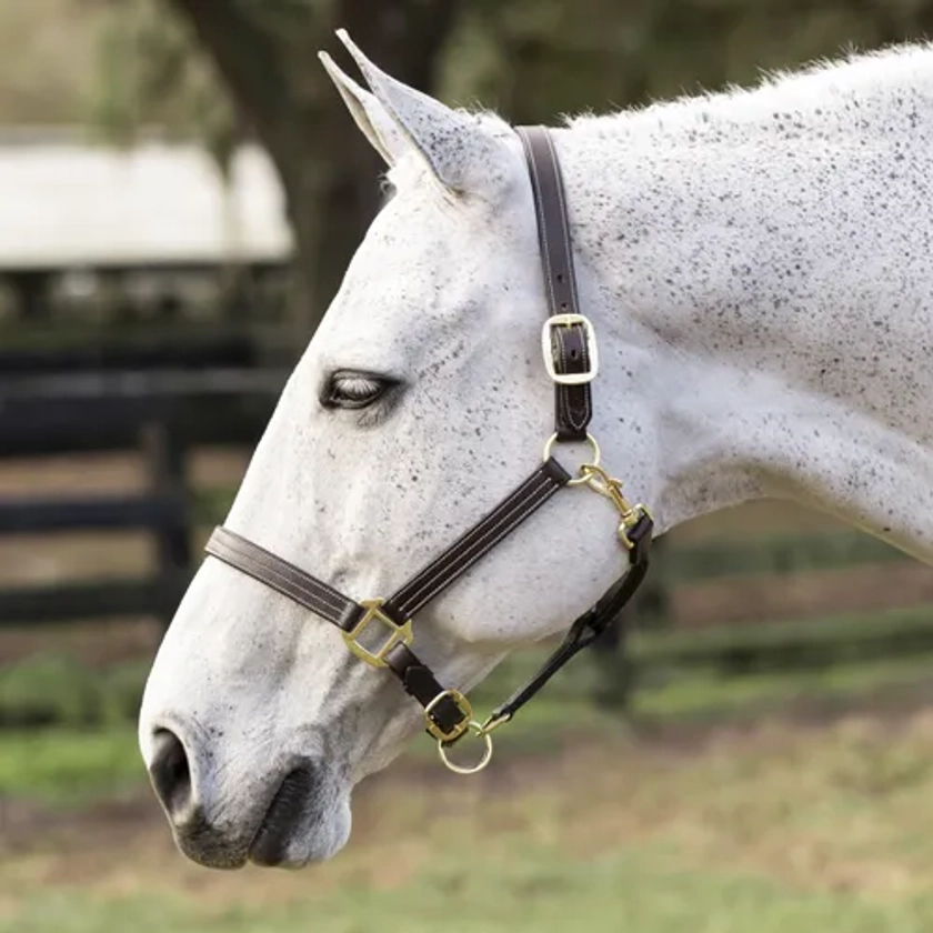 Equinavia Valkyrie Triple-Stitched Leather Halter | Dover Saddlery