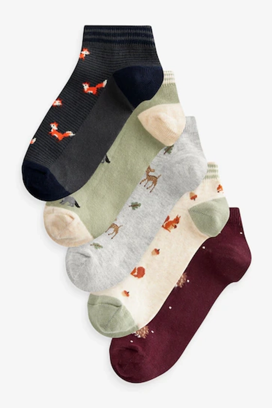 Autumn Animals Trainer Socks 5 Pack