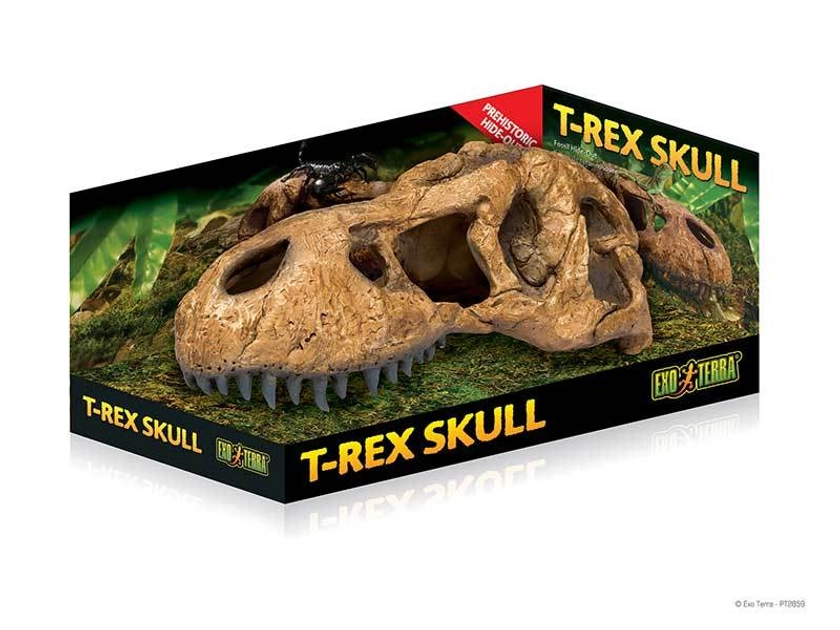 Exo Terra T-Rex Skull Hide