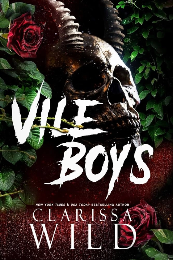 Amazon.com: Vile Boys (Spine Ridge University): 9798873732272: Wild, Clarissa: Books