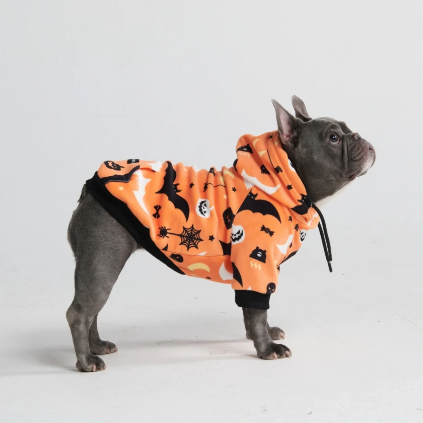 Halloween Dog Hoodies (Limited Edition)