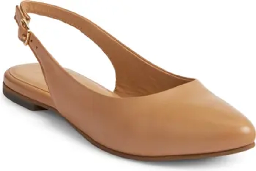 Trotters Evelyn Pointed Toe Slingback Flat - Multiple Widths Available (Women) | Nordstrom