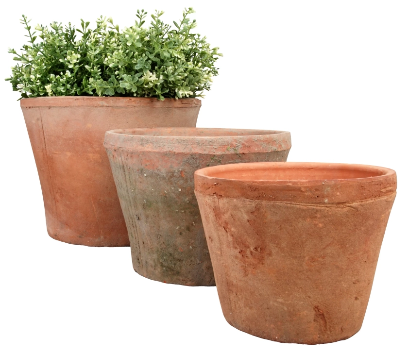 Rosalind Wheeler Linda 3 - Piece Terracotta Pot Planter Set | Wayfair