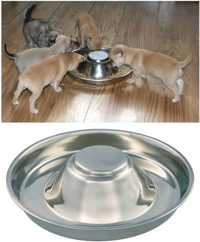 Kabalo Stainless Steel Puppy, Cat, Dog, Pet, Litter Food Feeding & Weaning Feeder Bowl
