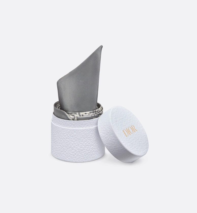Mitzah Dior Oblique Twill de soie grise | DIOR
