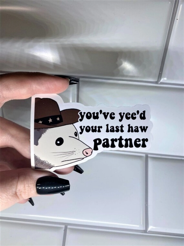 Cowboy Possum Sticker | You've yee'd your last haw | Possum Sticker | Sticker for Laptop | Funny Sticker