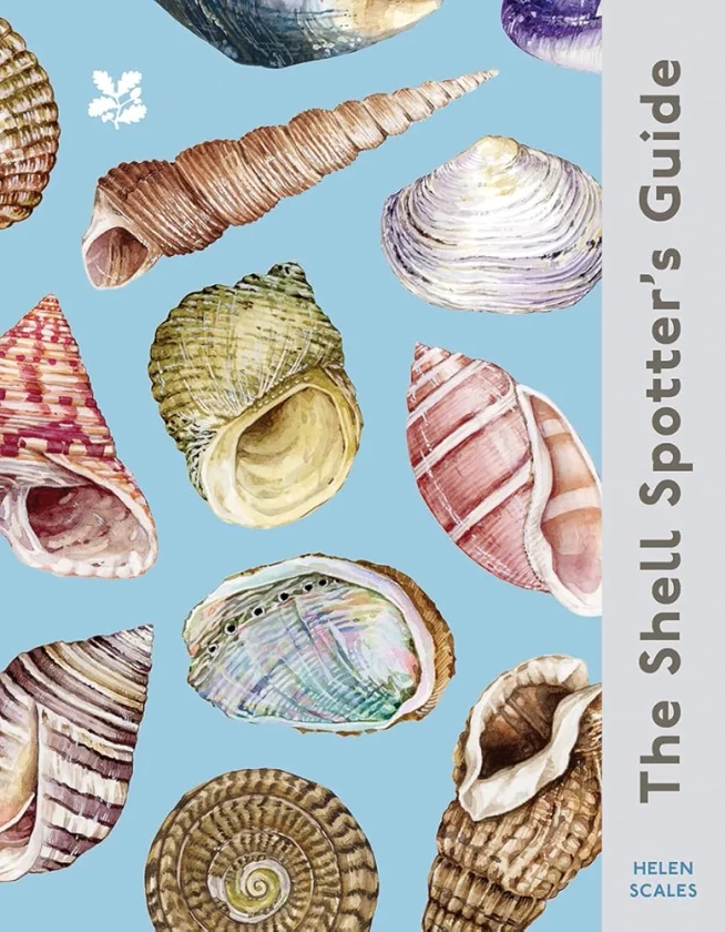 The Shell Spotter’s Guide: Every shell has a story to tell. Discover the secrets of these treasures of the sea (National Trust)