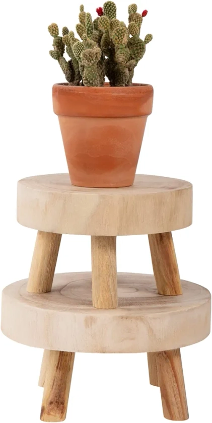 ANPHSIN Pack of 2 Mini Wooden Stool Display Stand - 5.5''/6.7'' Round Decorative Flower Shelf Bonsai Rack Garden Plant Pot Riser Holder Modern Plant Stand with Wood Grain for Indoor Outdoor Home Decoration (S, M)