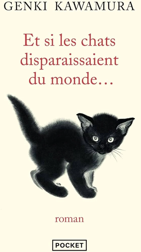 Et si les chats disparaissaient du monde... : Kawamura, Genki, Durocher, Diane: Amazon.fr: Livres