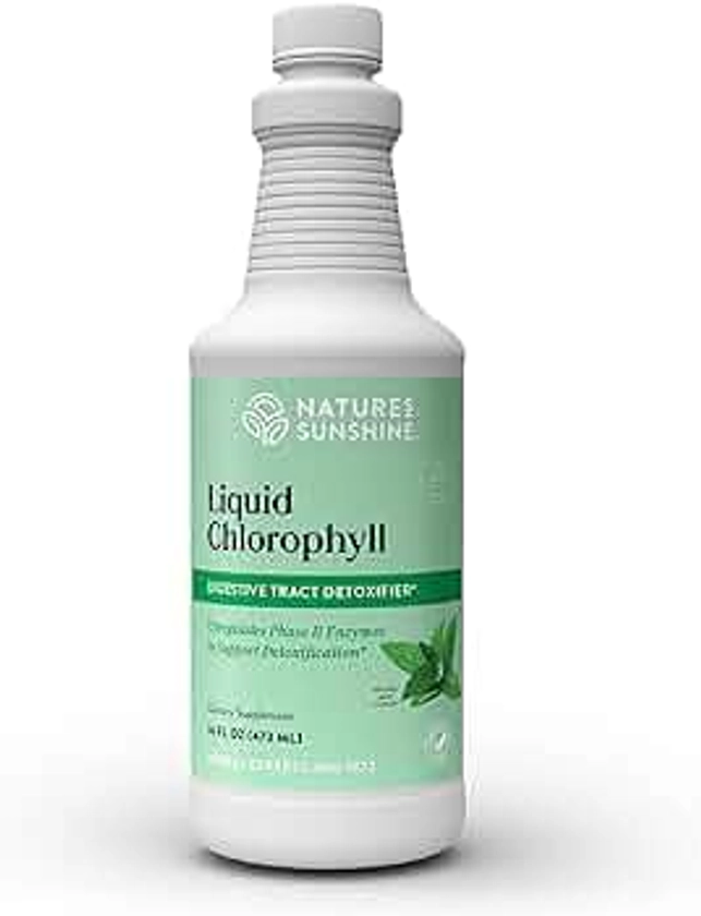 Nature's Sunshine Liquid Chlorophyll - Immunity Support, Detox & Cleanse, Chlorophyll Liquid Drops with Spearmint Oil, Natural Energy Boost, Internal Deodorant - 16 Fl Oz