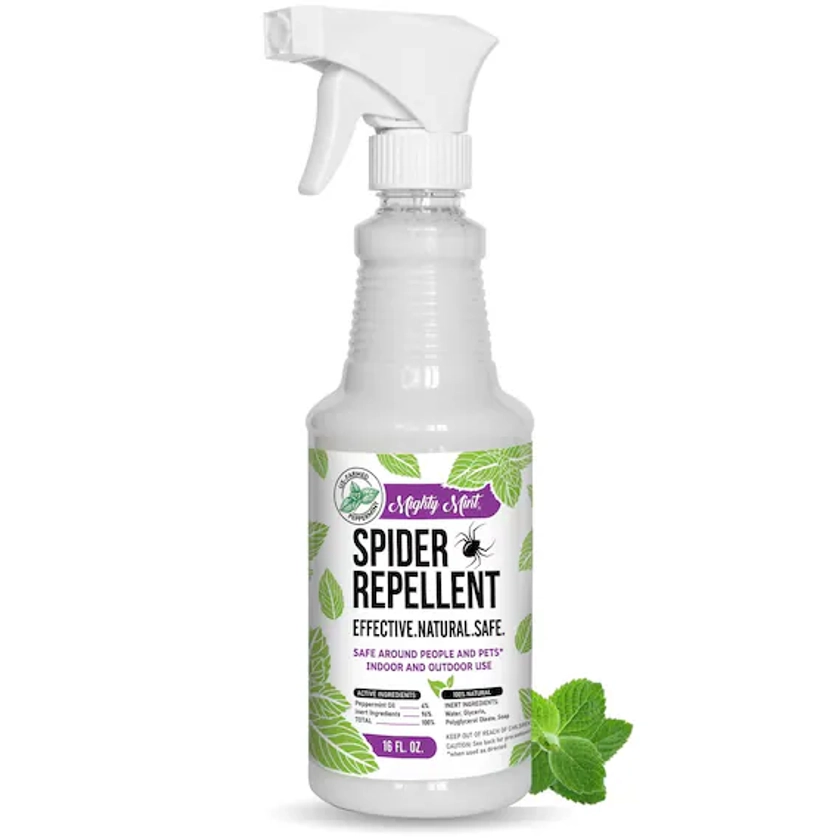Mighty Mint  16oz Spider Repellent Peppermint Oil  Natural - Etsy UK