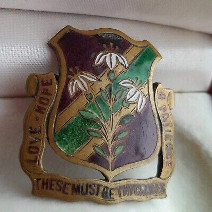 suffragette suffragist brooch badge ? edwardian brass enamel large | eBay