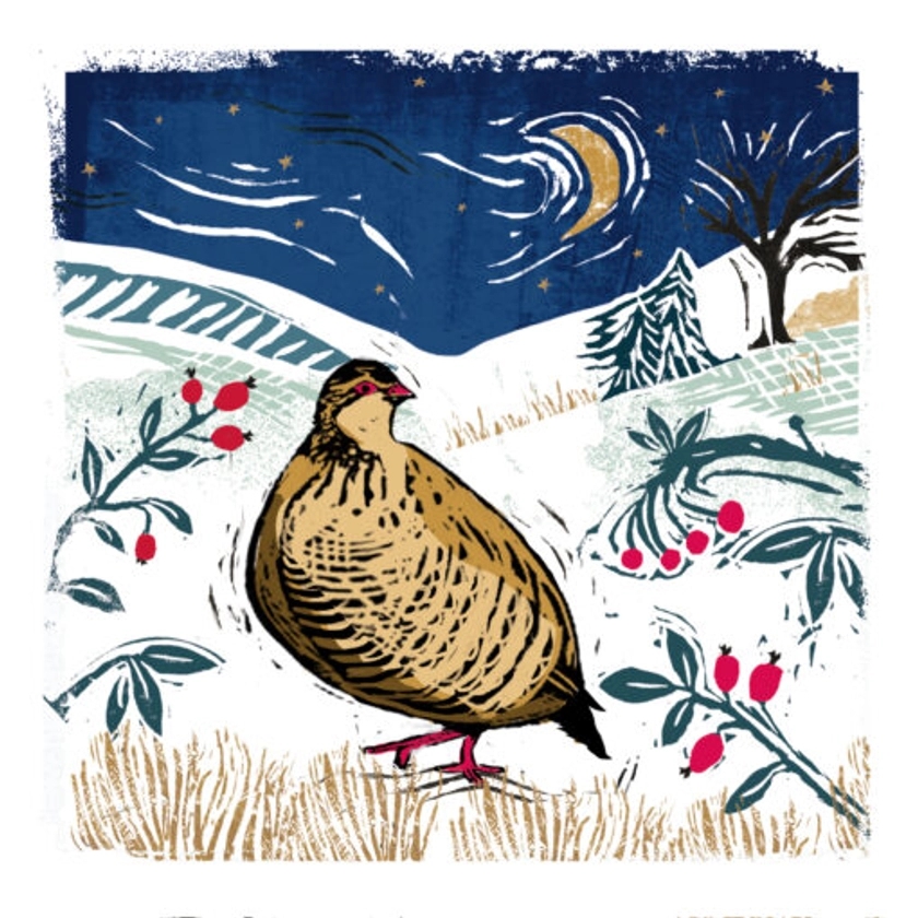 Moonlit Partridge – Dementia UK Charity Christmas Cards – Pack of 10 – Charity Cards and Gifts