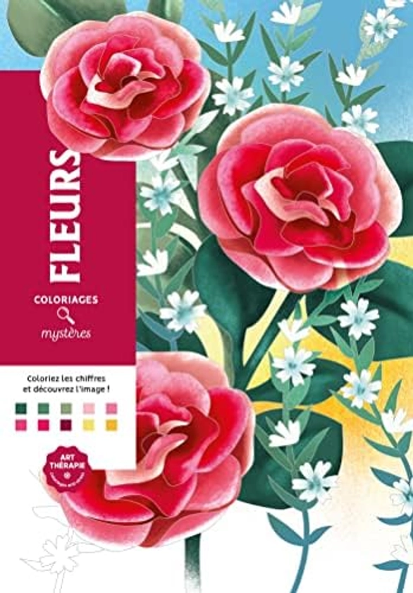 Fleurs: Coloriages mystères : Mendès, Charlotte: Amazon.com.be: Livres