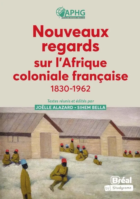 Nouveaux regards sur l'Afrique coloniale française: 1830-1962