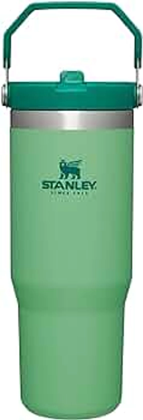 Stanley IceFlow Stainless Steel Tumbler - Vacuum Insulated Water Bottle for Home, Office or Car Reusable Cup with Straw Leak Resistant Flip Cold for 12 Hours or Iced for 2 Days, Jade, 30oz